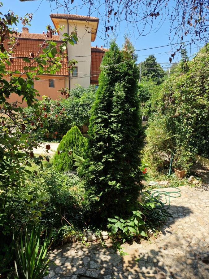 Villa Residence, Free Parking, Pets Friendly Варна Екстер'єр фото